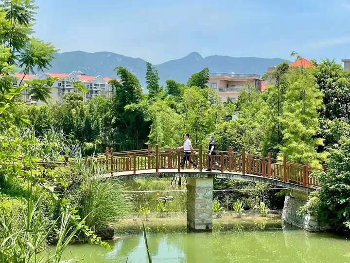 快来南洋风情农耕文化这里都有同安区竹坝乡村振兴文旅活动季启动