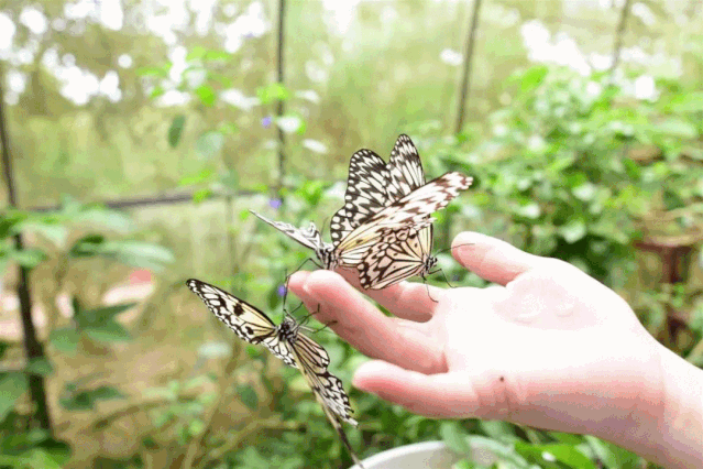 【喜迎党代会 五年成就巡礼】永泰全力打造国家全域旅游示范区_俄罗斯