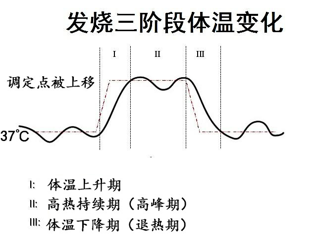 体温折线图怎么画图片