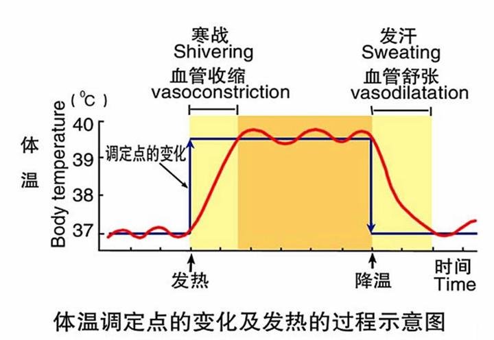 孩子发烧时手脚冰凉家长怎么缓解症状