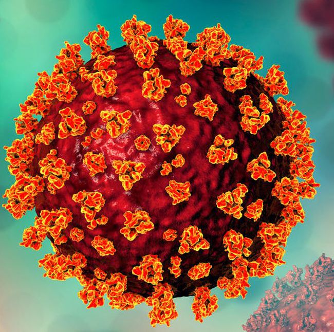 洛杉矶6520人完全接种疫苗后感染 delta变种病例达84%