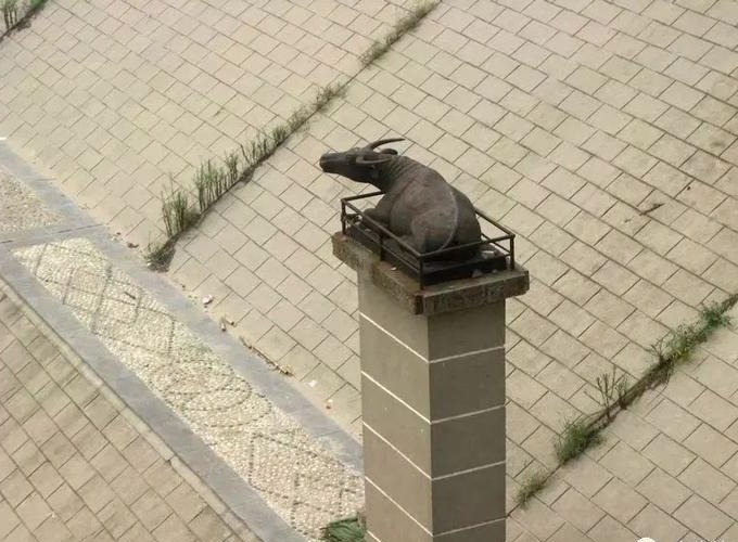 周口镇水神兽铁水牛