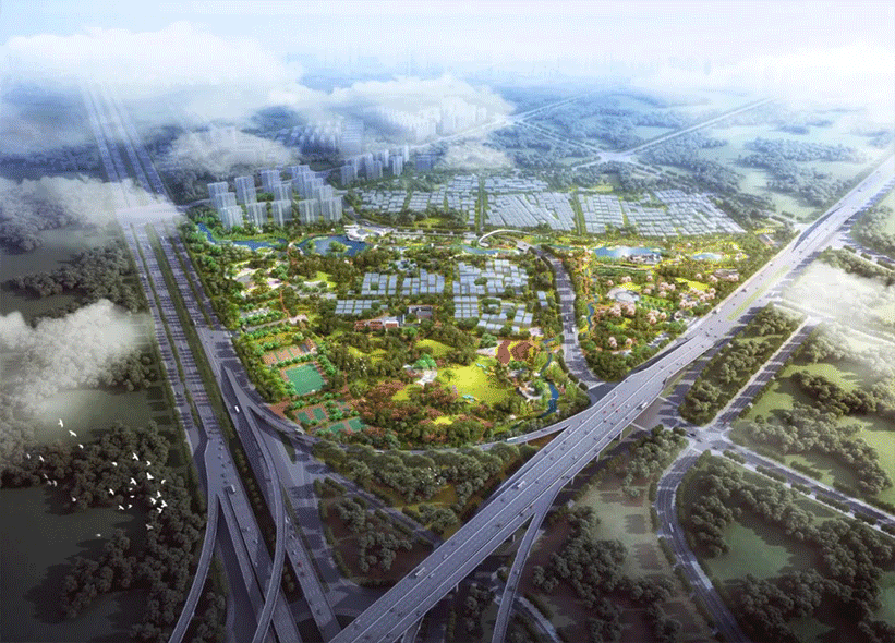 有一种低调叫:翔安南部新城!_中国大陆_新闻_华人头条