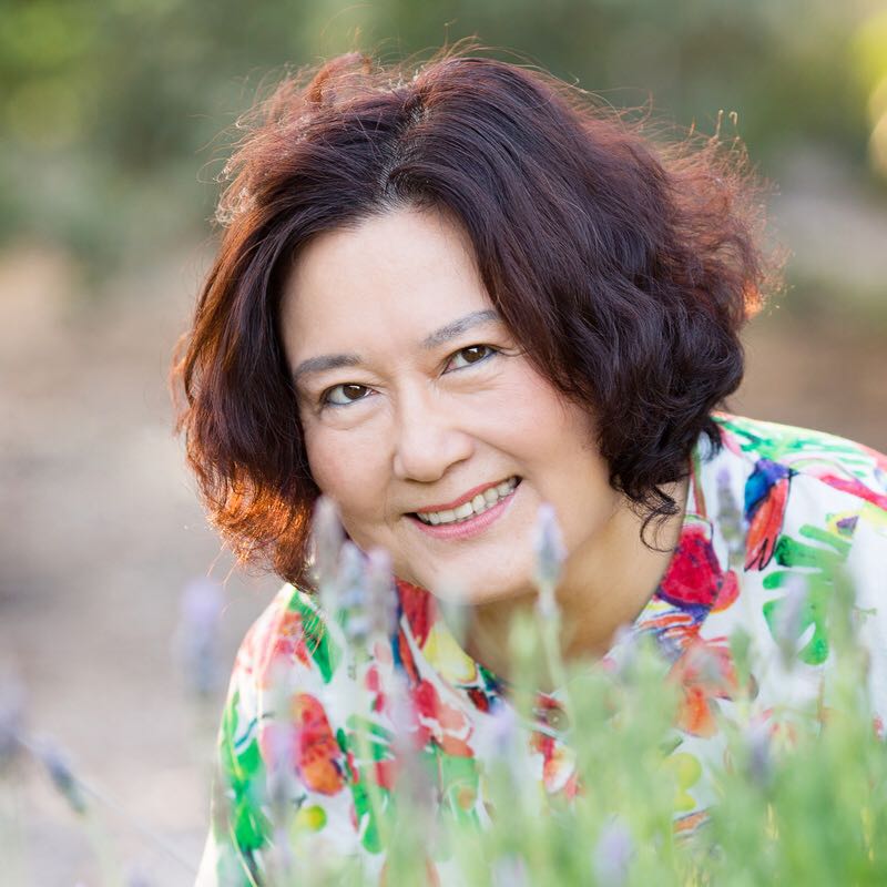 俺家的一地鸡毛作者姜萍美国