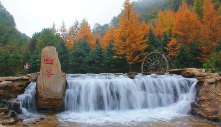 宁夏六盘山野荷谷,正以秋天最美的样子等你来述说