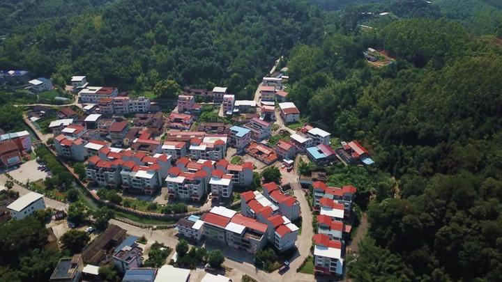 百村支书话振兴|漳平东坑村:蔬果飘香好"丰景" 美丽乡村在"绽放"