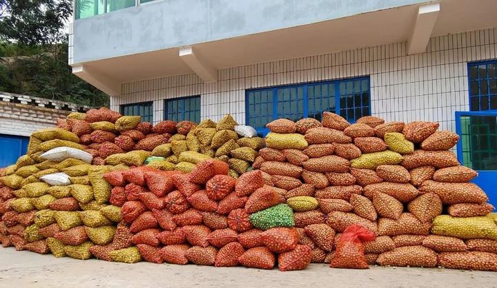 坑镇收购的青枣