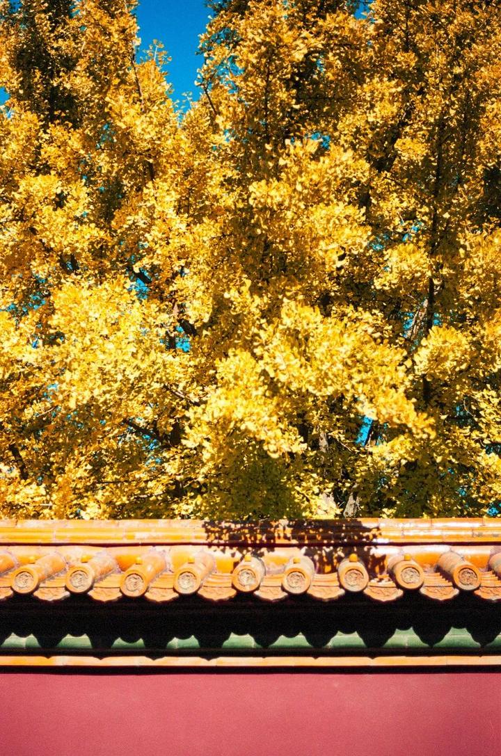 9-10月,初秋的北京_旅游攻略_意大利_新闻_华人头条