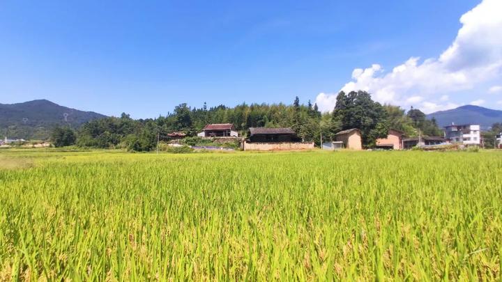 这里有闽侯县级文物保护单位 角洋铁铜溪古驿道 见证了角洋村的古今