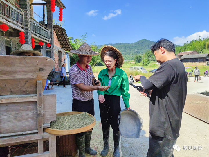 超52万人围观,这场乡村振兴主题直播火了!