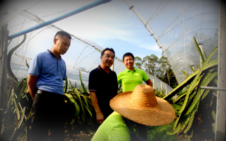 在小楼镇邓山村,林瑞琪一行参观了以自然生态和乡村民俗为核心的国家