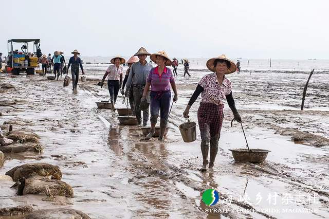 中的政府角色与决策专访福州琅岐经济区党工委书记管委会主任江智文