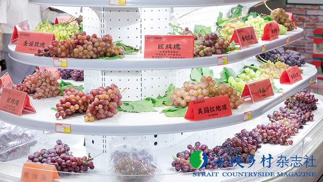 中的政府角色与决策专访福州琅岐经济区党工委书记管委会主任江智文