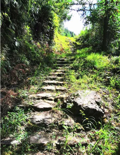 周末来屏南寿山茶盐古道探访最美古村落的秋色