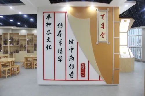 点赞丰泽这所学校深耕细作让中医药文化在校园中扎根绽放