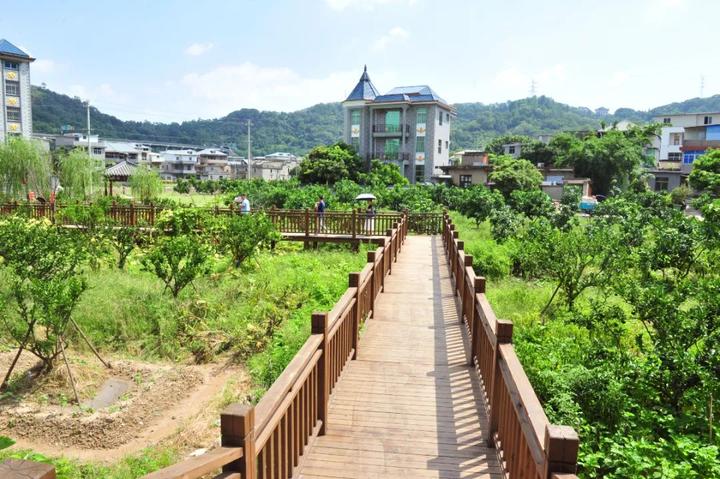 长乐湖里村:探索"果蔬 研学 特色产业"振兴路径_中国大陆_新闻_华人