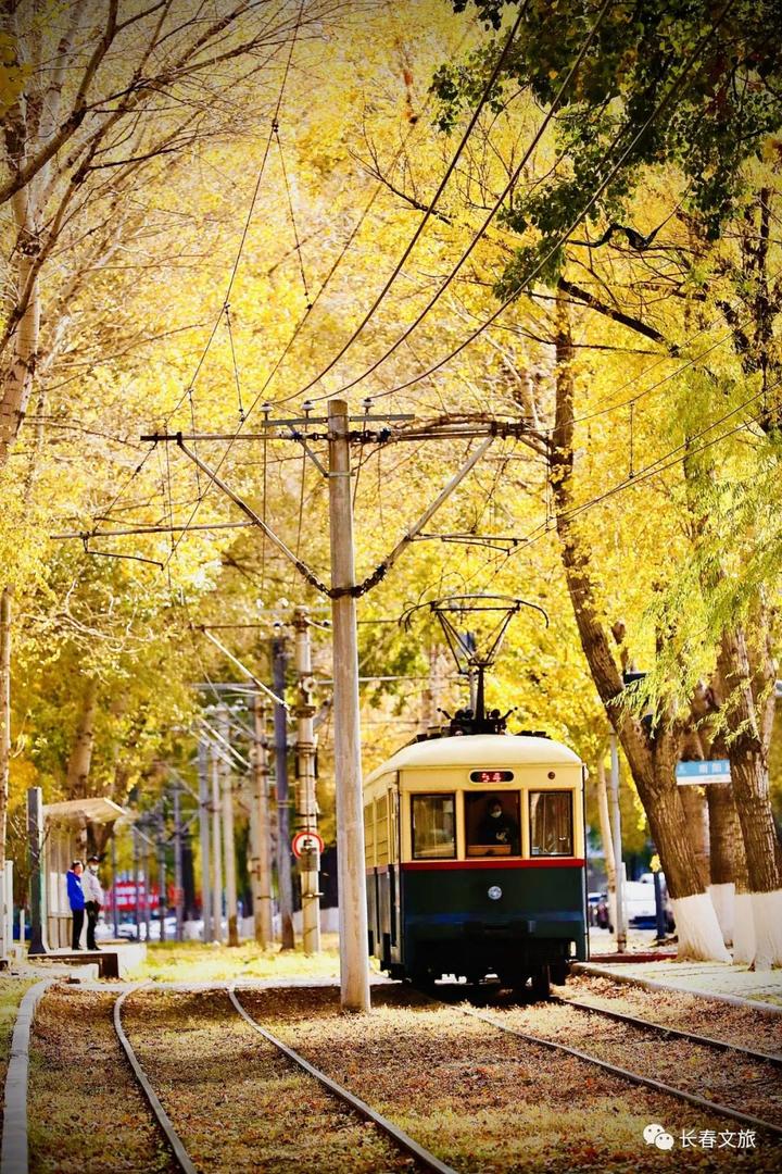多彩金秋美景如画沿着这条线路遇见长春醉美秋天
