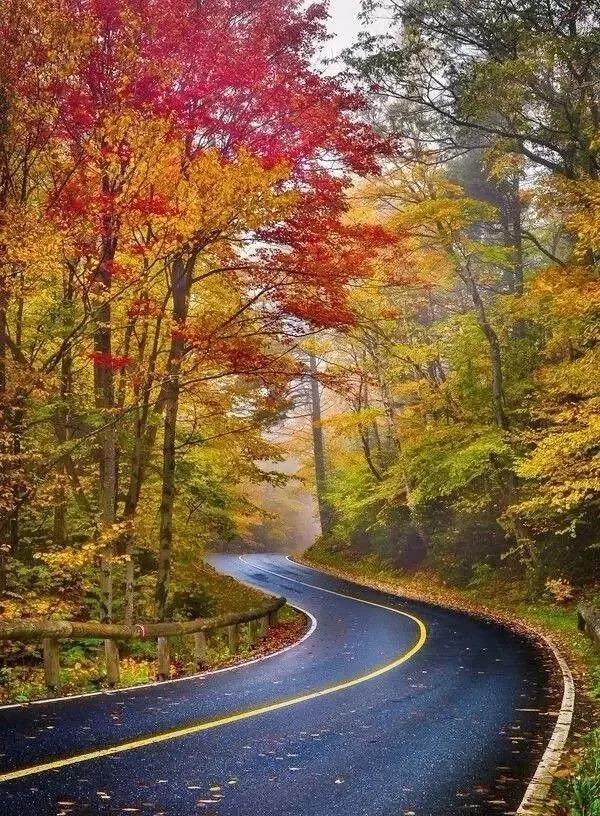 陕西商洛:柞水黄花岭—最美赏秋自驾游公路_阿根廷_新闻_华人头条