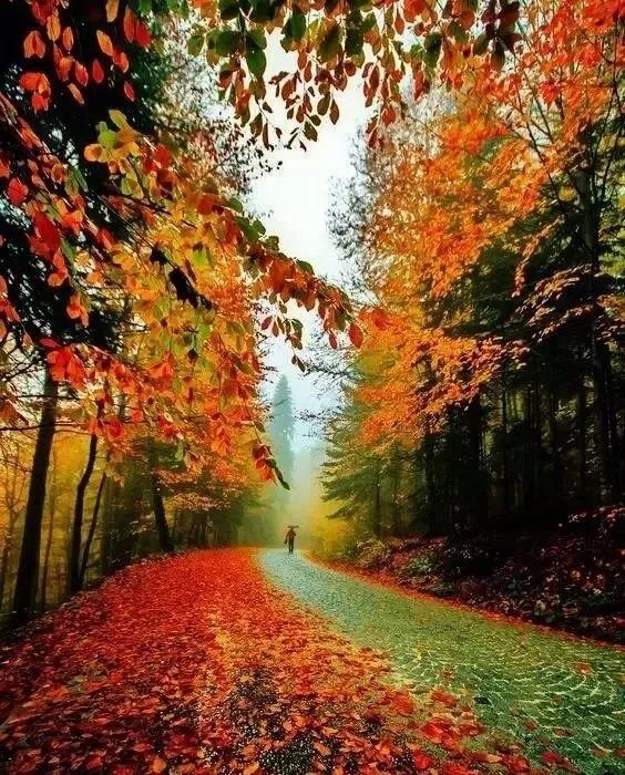 陕西商洛:柞水黄花岭—最美赏秋自驾游公路