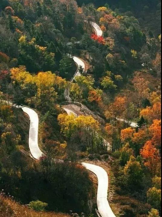 陕西商洛:柞水黄花岭—最美赏秋自驾游公路_阿根廷_新闻_华人头条