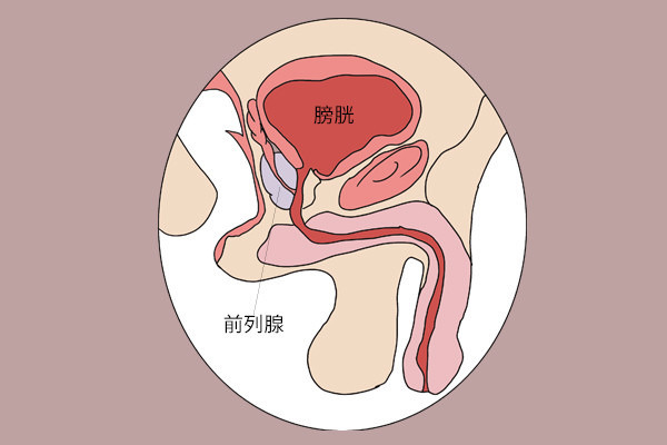 做提肛運動有益健康堅持做下去時間長了能獲得哪些益處