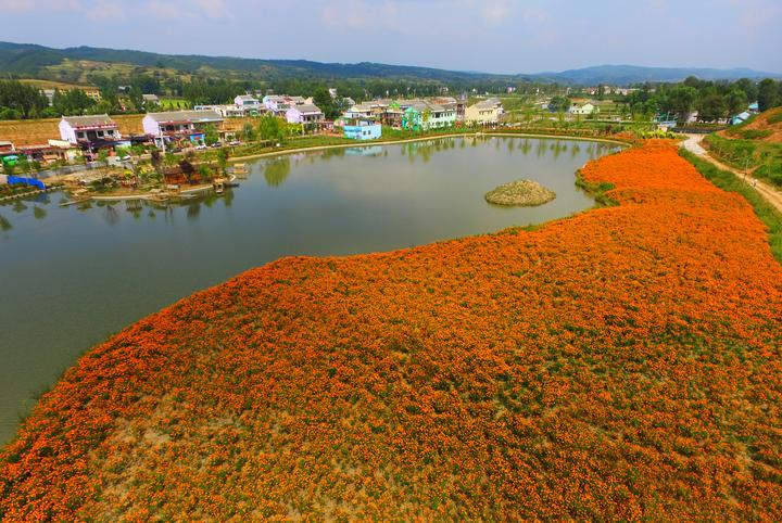 陕西商洛洛南县村美民乐看草店