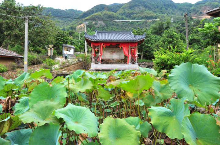 媒体看福州乡村丨闽侯福田村:四知文化代相传,乡村振兴喜笑颜_俄罗斯