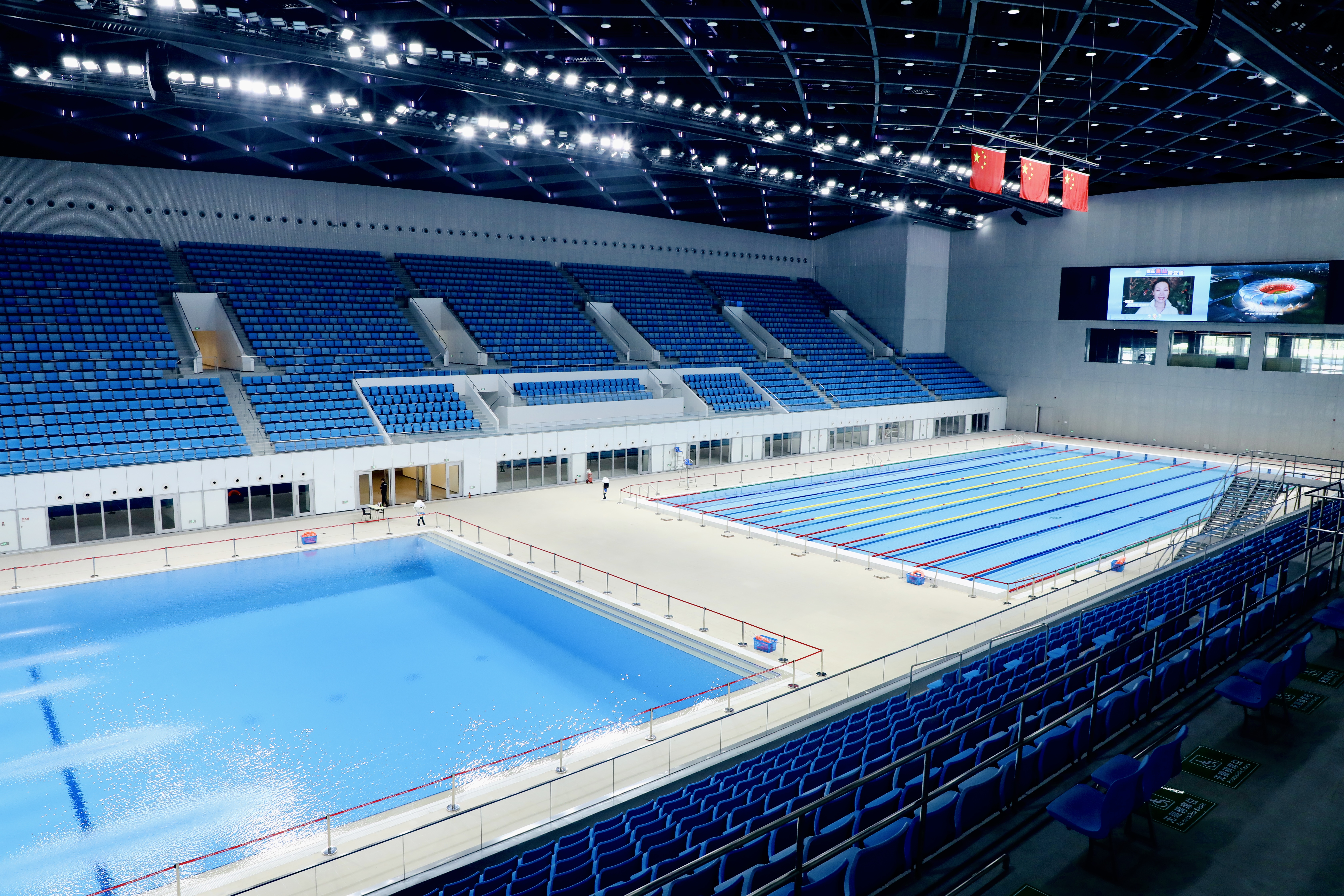 杭州奥体中心游泳馆图片