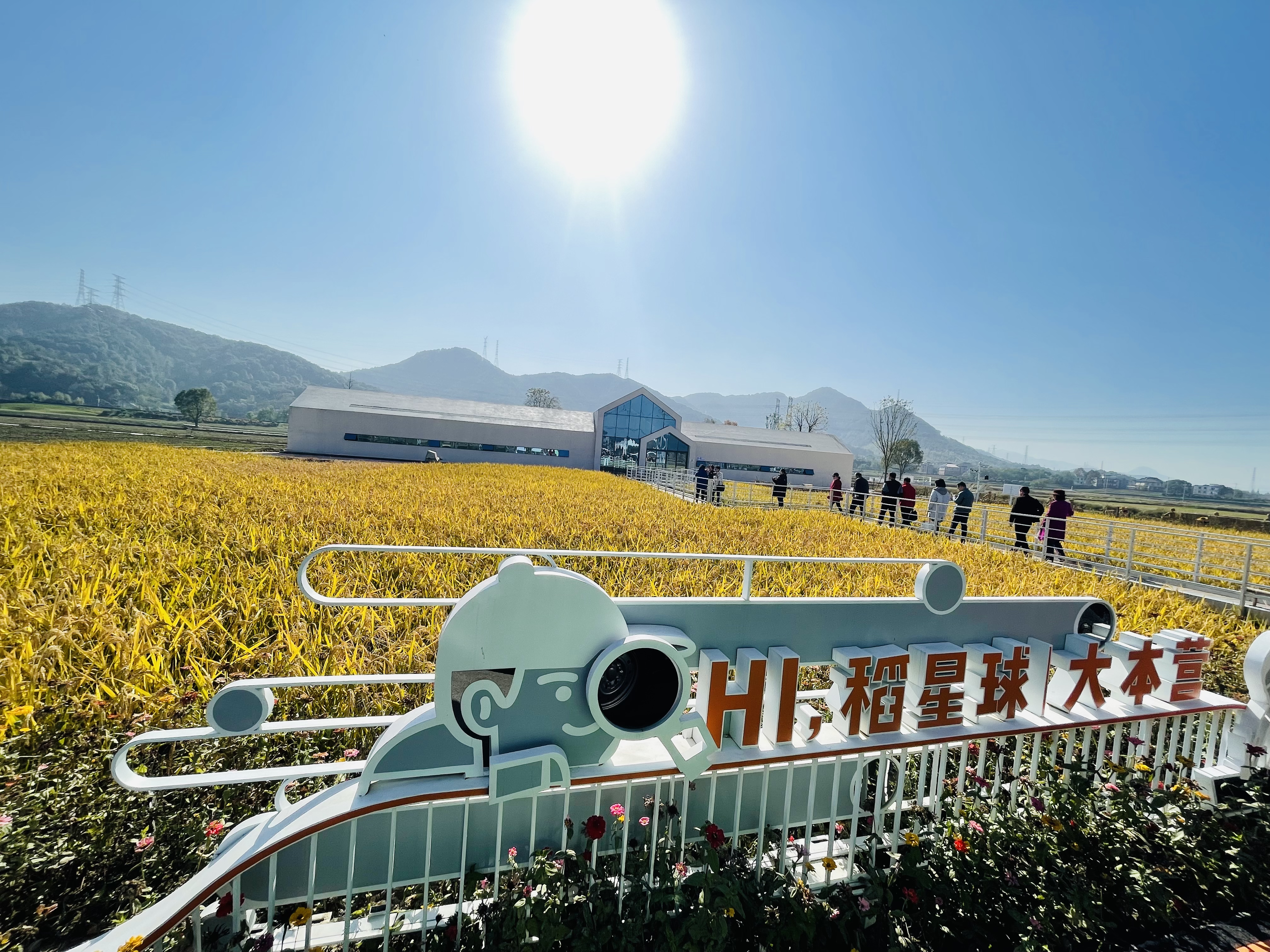 傅临生:1700余亩创意农田,发掘乡村品牌价值