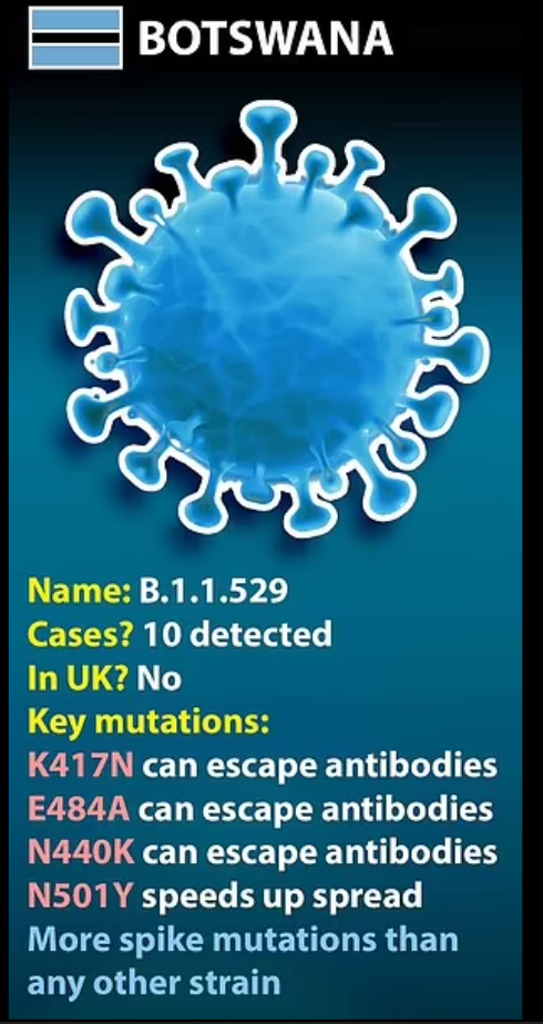 南非博茨瓦纳出现新型变异病毒