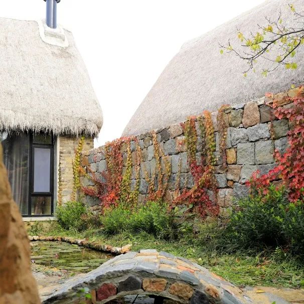 山东荣成天鹅湖畔海草民宿安放心灵自然栖居