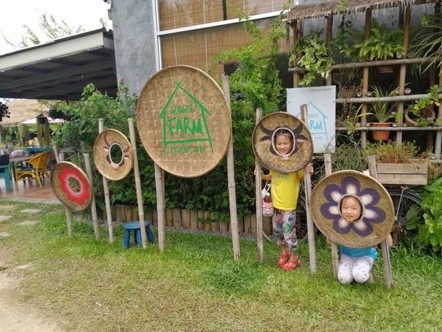清迈30亩ginger farm农场,这才是休闲乡旅打开方式_中国澳门_新闻