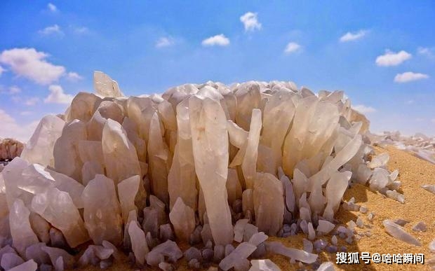 水晶山峰幼虫图片