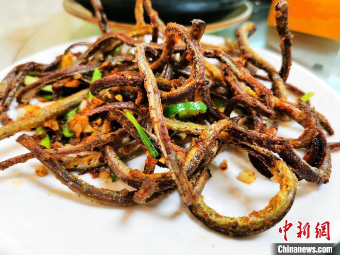 血鳝:广东侨乡台山人冬日"暖身"进补的优选_south africa_新闻_华人头