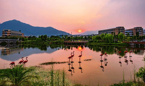 闽侯这么近那么美福州大学城挡不住的城市青春活力荷尔蒙