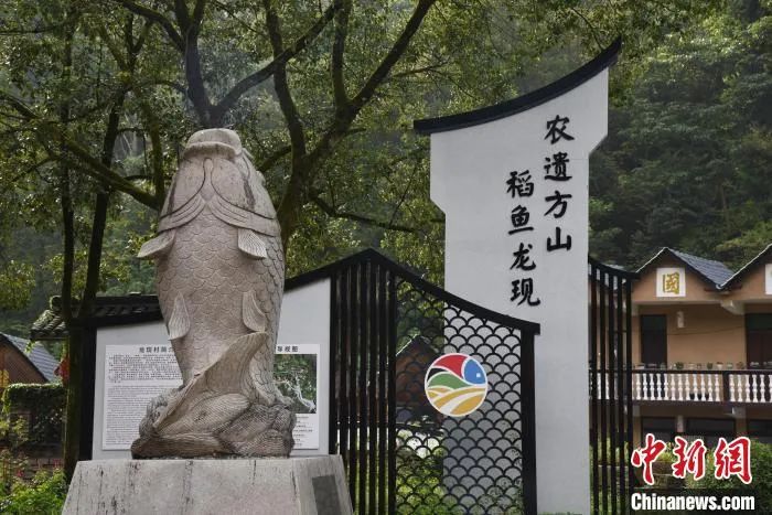 浙江侨乡揭开山中秘密串珠成线打造农遗探寻线