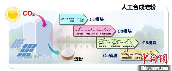 二氧化碳人工合成澱粉等入選2021年度中國生命科學十大進展