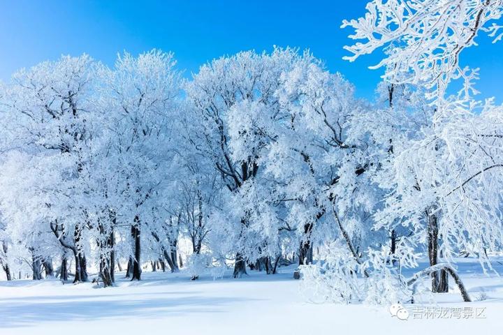 冬雪四方顶子那一场场雾凇和雪挂