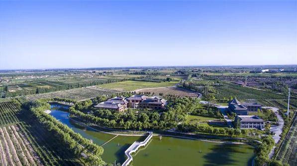 早春采摘就到宁夏永宁县闽宁镇去尝鲜吧