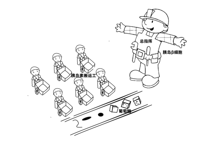 为什么高血压高血糖和高血脂总是一起出现