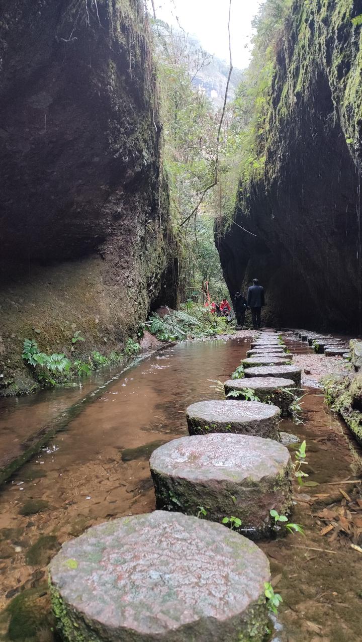 福建泰宁寨下大峡谷神奇的翠谷奇洞壮观的地学画廊