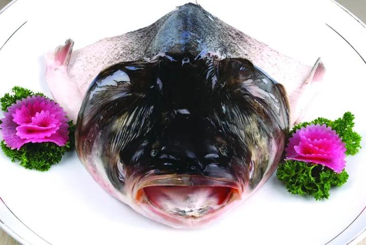 宁夏沙湖景区名吃——沙湖大鱼头