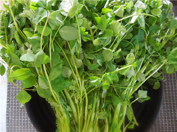 2, 把草头给清洗干净,因为草头是野菜口感的会偏粗糙一些,所以大家