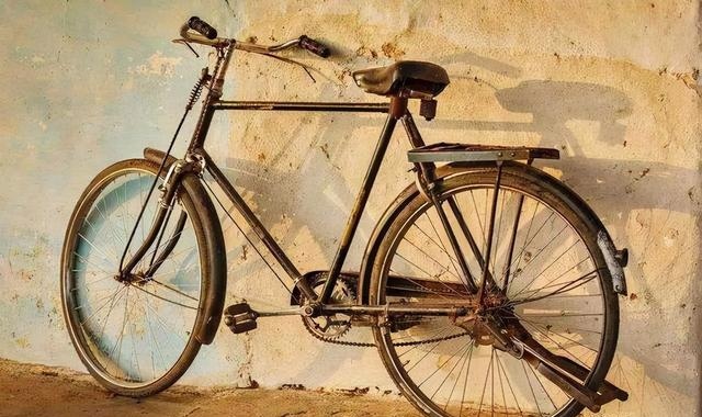 第四个交通工具:28自行车当然除了牛车,还有马车和驴车,用最广泛的