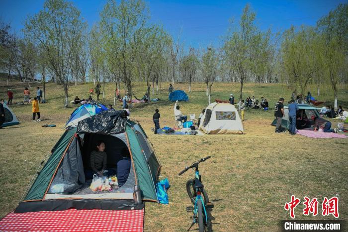 图为清明小长假首日,市民在天津北辰郊野公园搭帐篷体验城市露营度假.