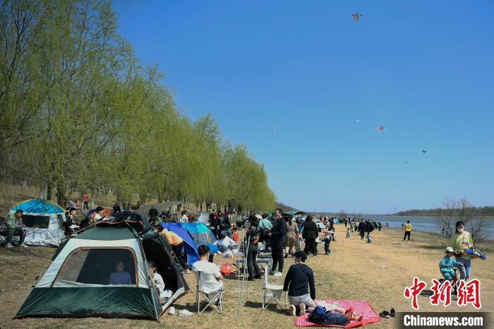 图为清明小长假首日,市民在天津北辰郊野公园搭帐篷体验城市露营度假.