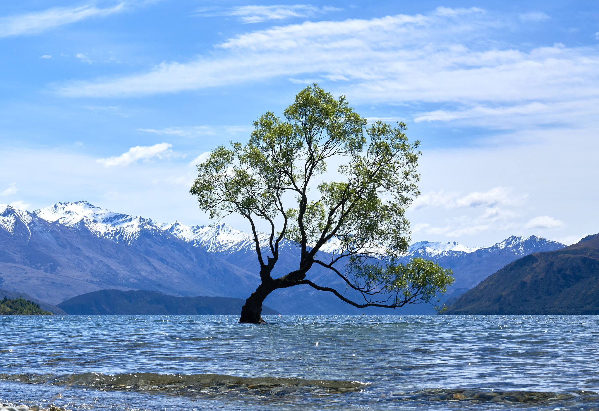 新西兰南岛瓦纳卡湖30 年最低水位,孤独树已被陆地环绕