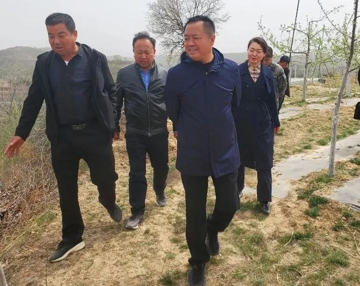 陕西志丹县委副书记王子信深入永宁镇调研指导果园春季管理和花期防冻