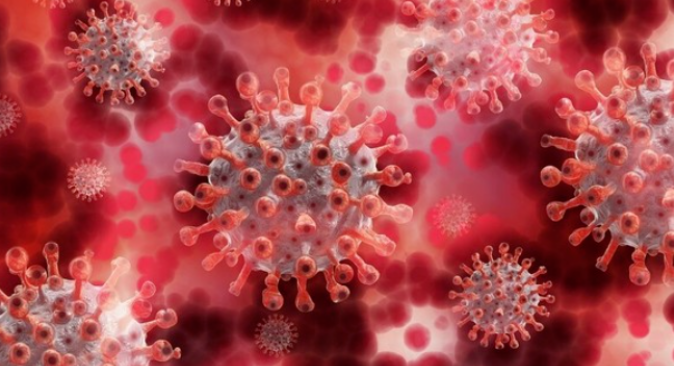 日本疫情最新429通报首次出现新冠病毒新型变异毒株