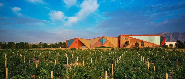 做中国葡萄酒市场重构的实力担当宁夏第一庄如何在宁夏产区实现大美